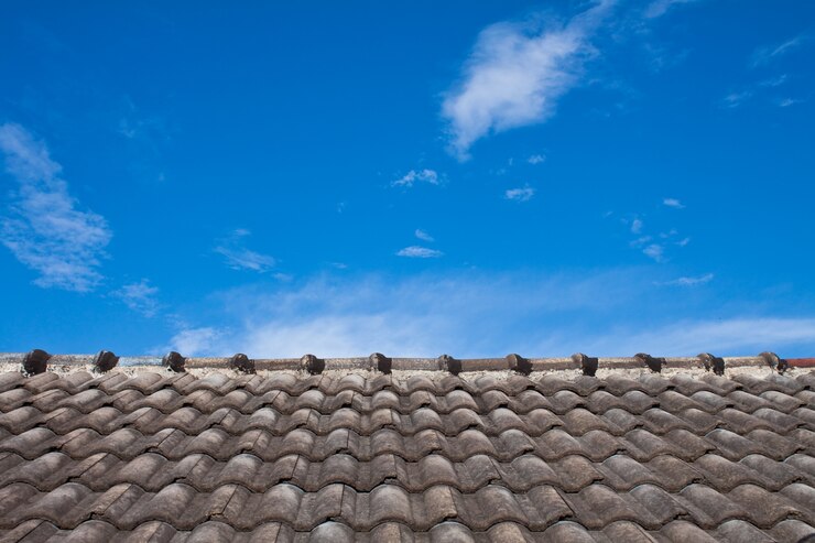 Elevate Your Roof's Health Today
